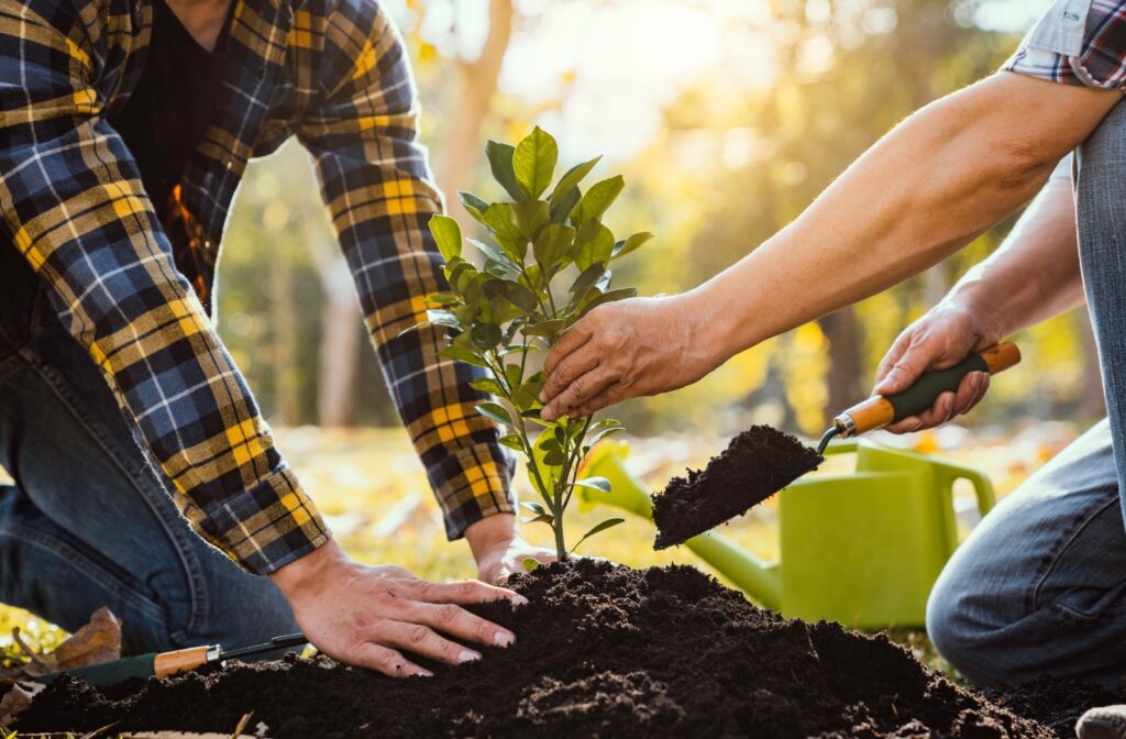 Two people gardening together in a supportive addiction recovery program in Los Angeles, promoting healing through activities.
